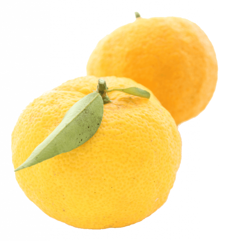 Yuzu