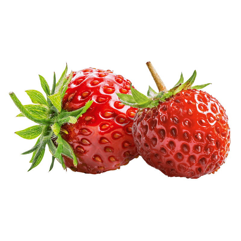 Wild Strawberry