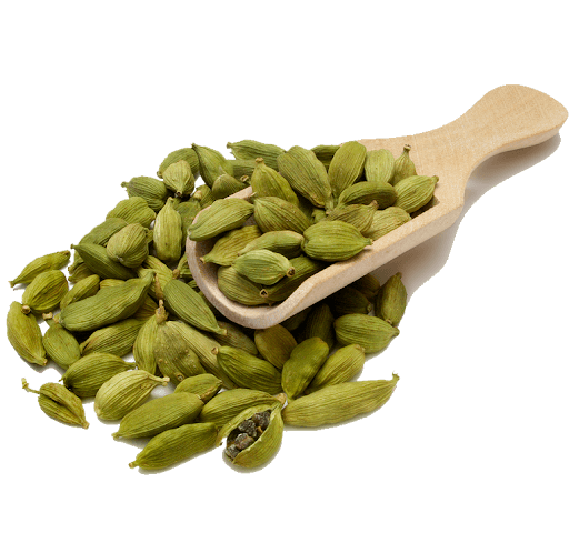 Guatemalan Cardamom