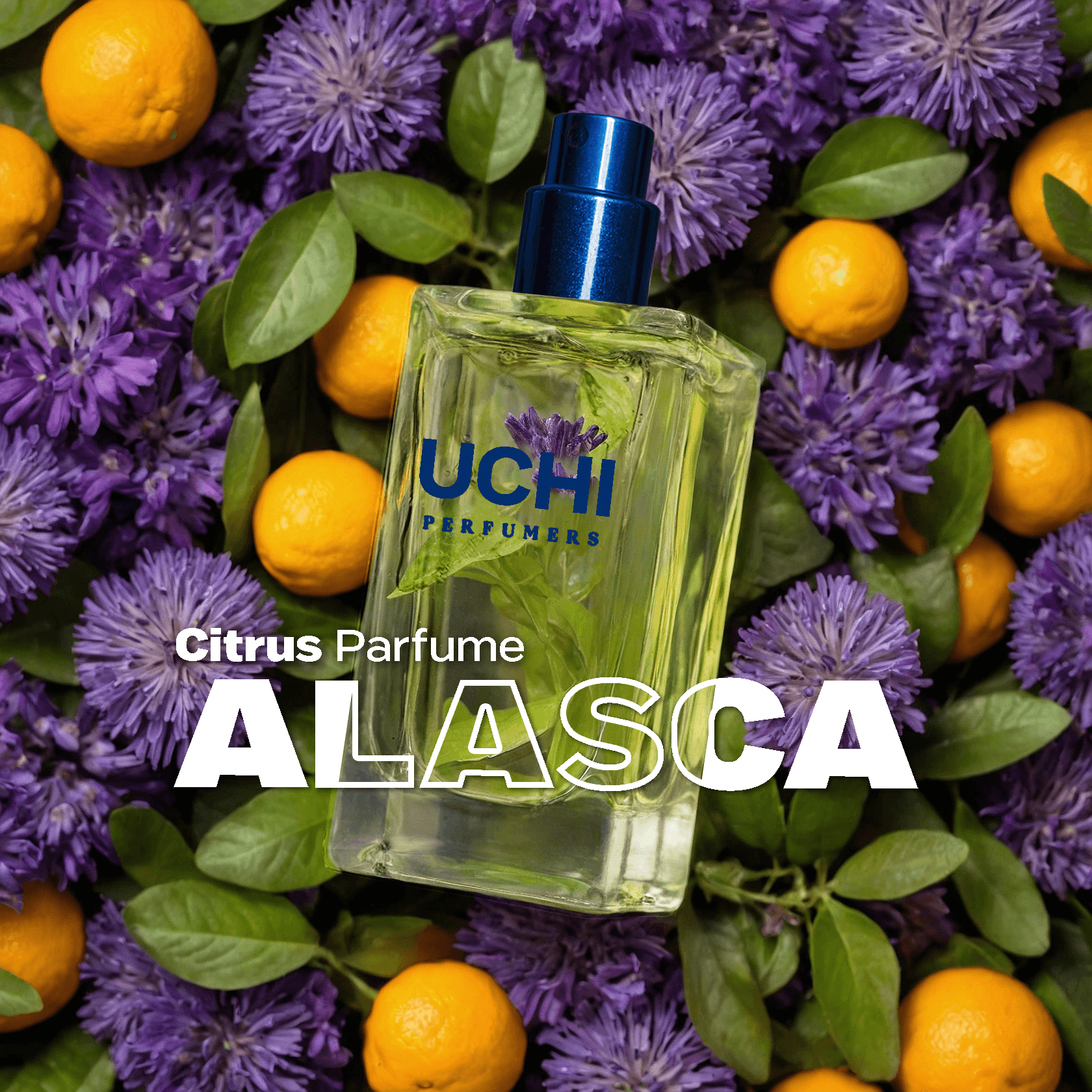 alasca