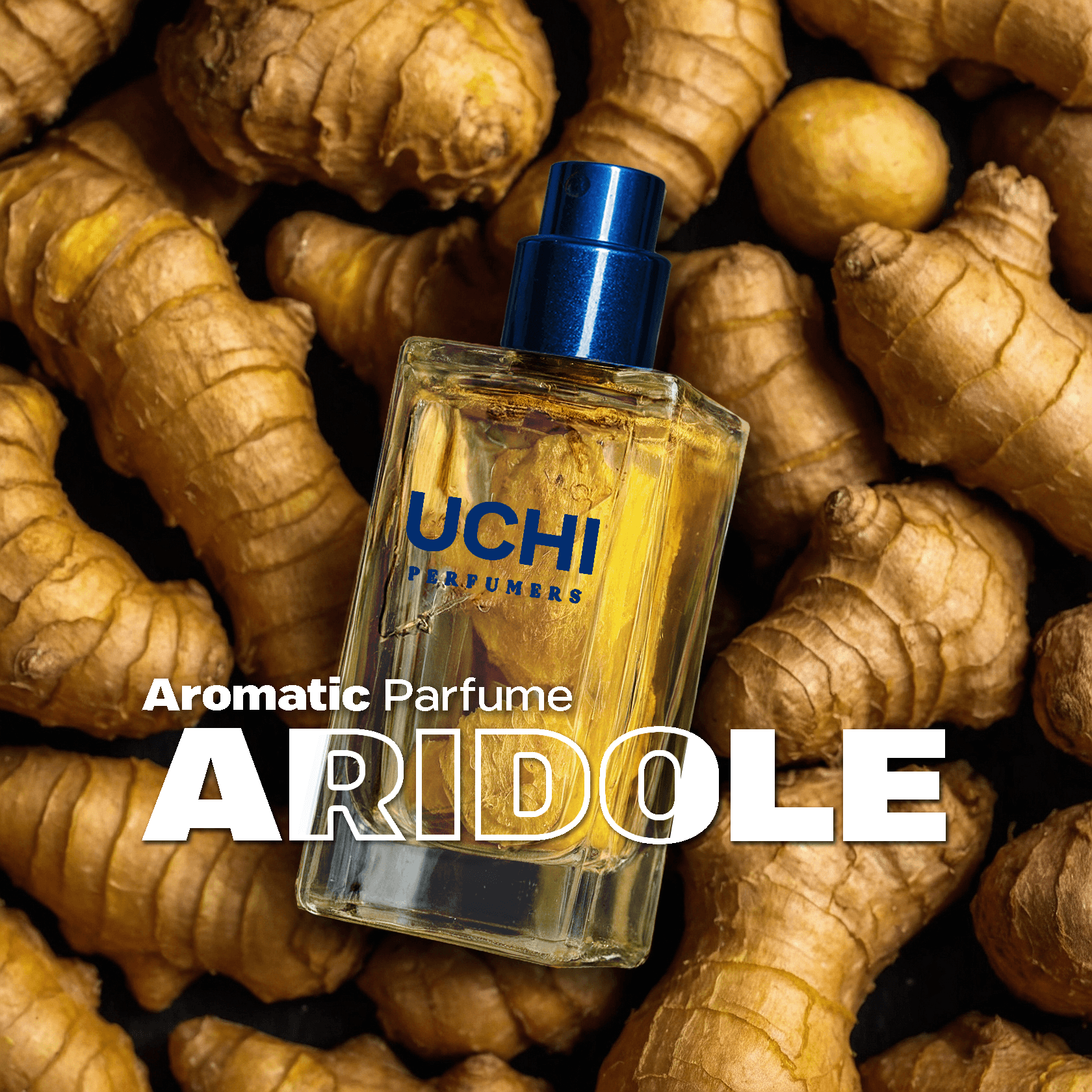 aridole