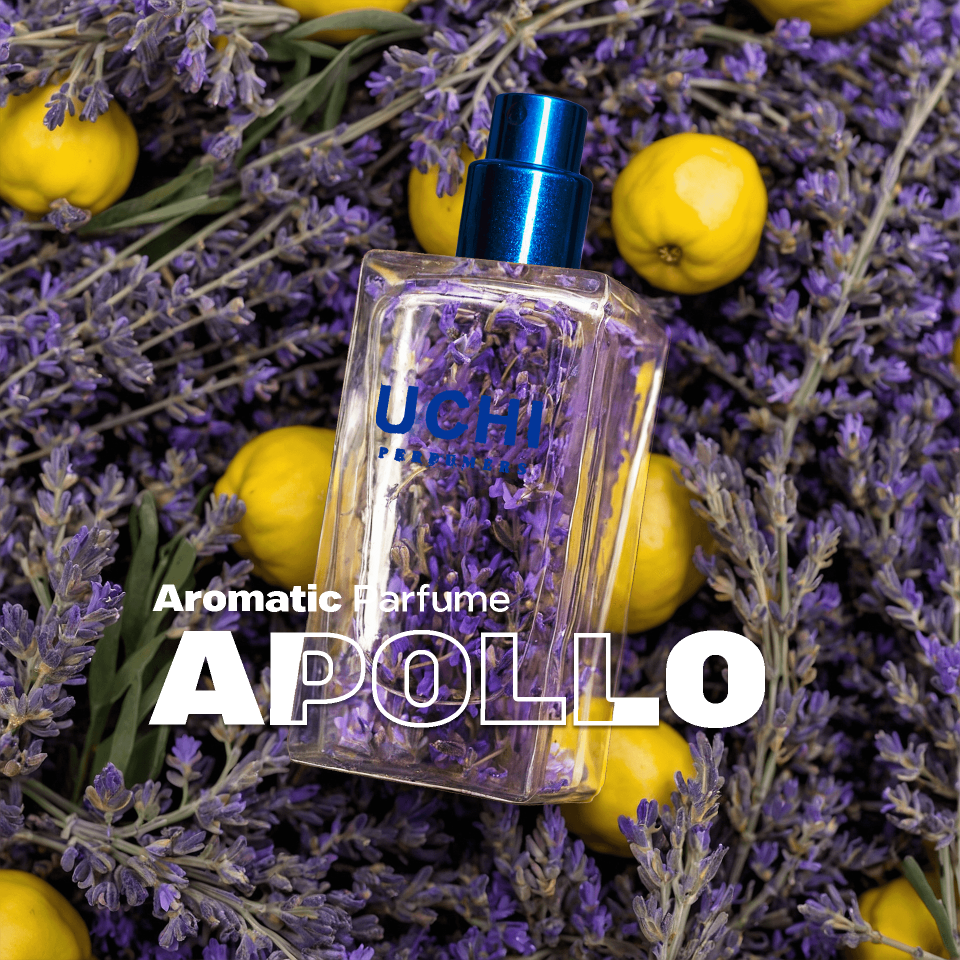 apollo