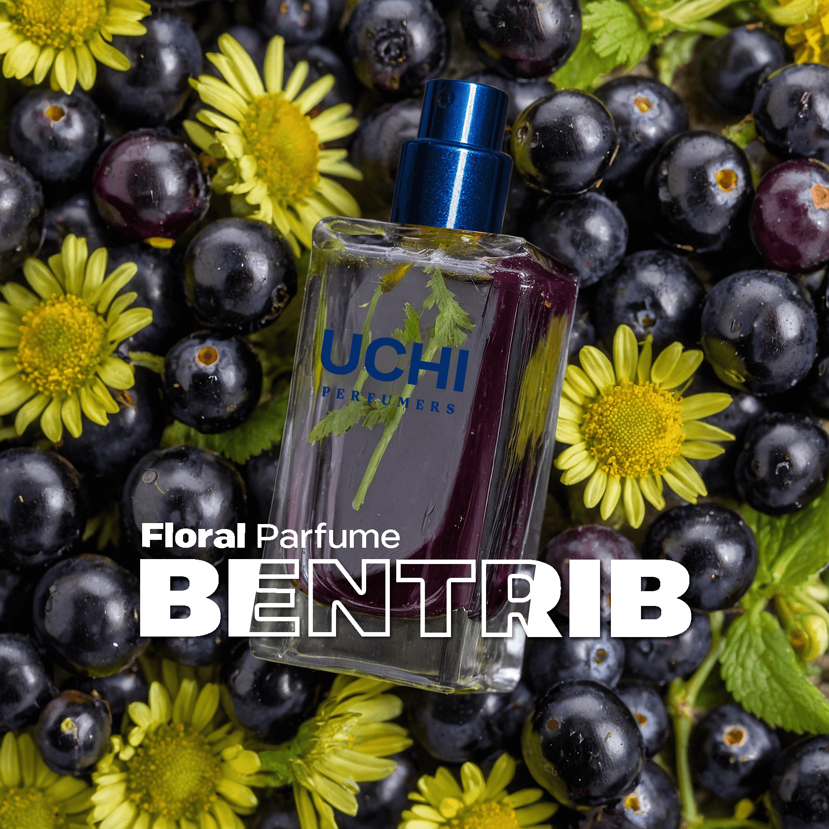 bentrib