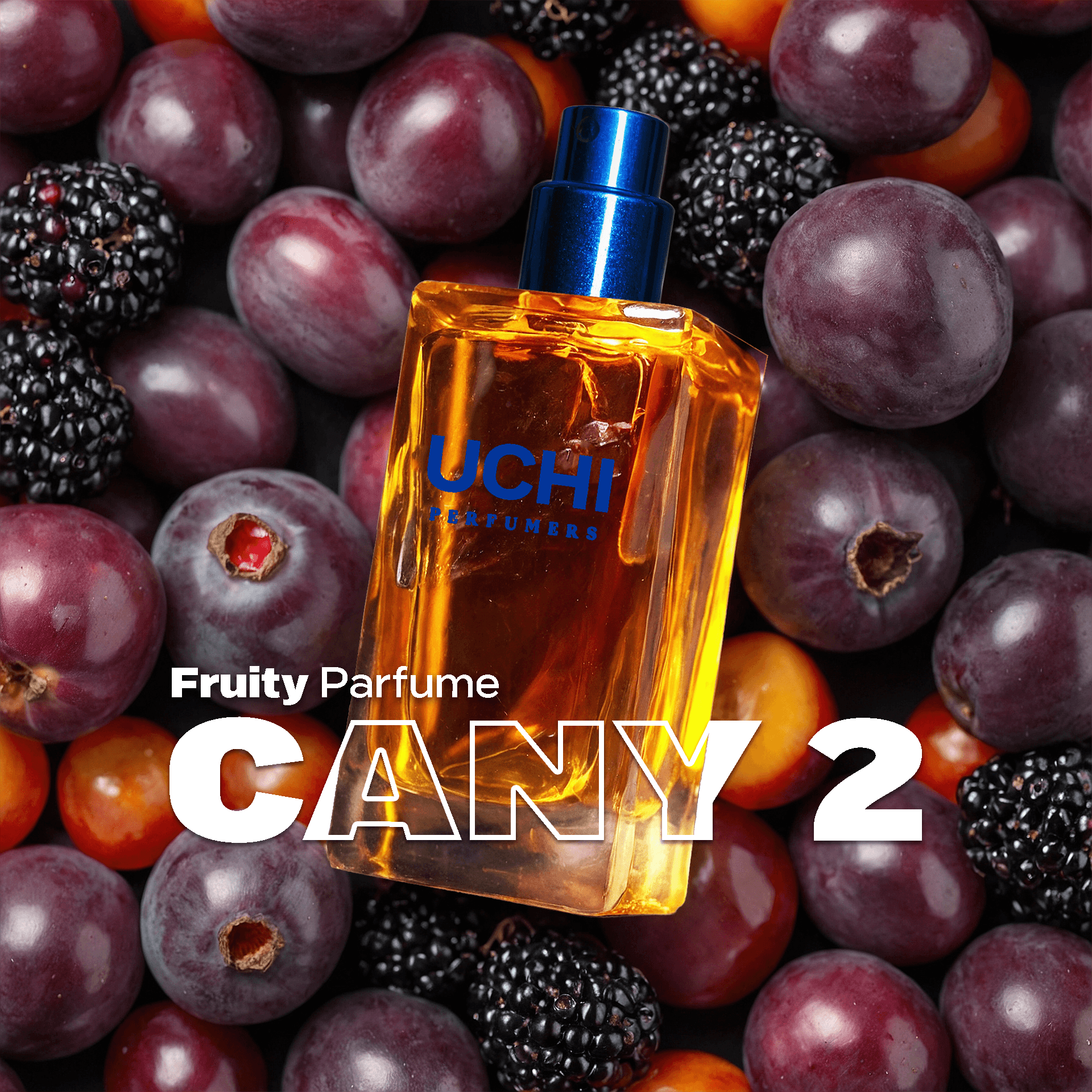 cany-2