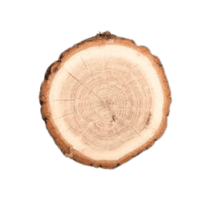Cashmir Wood