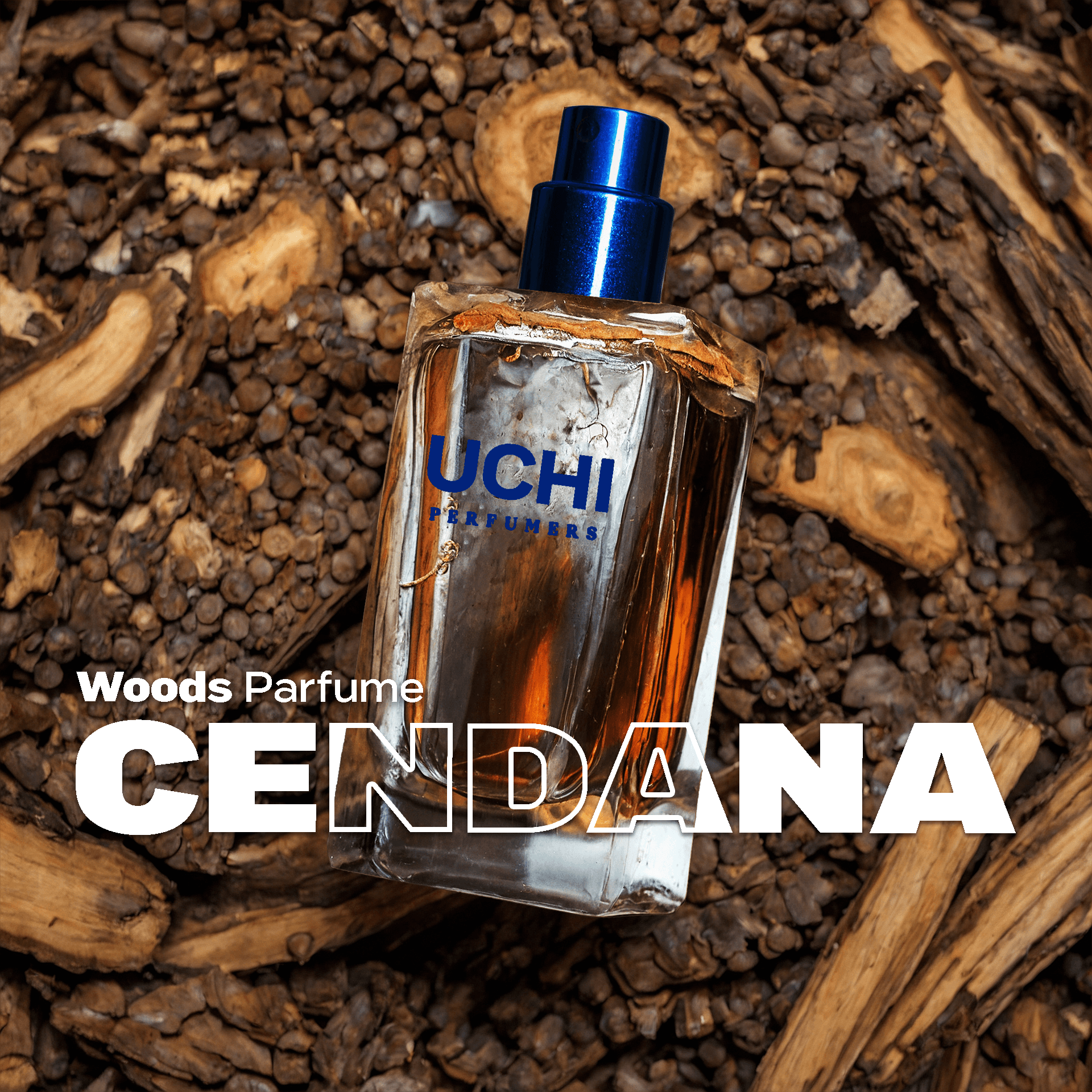 cendana