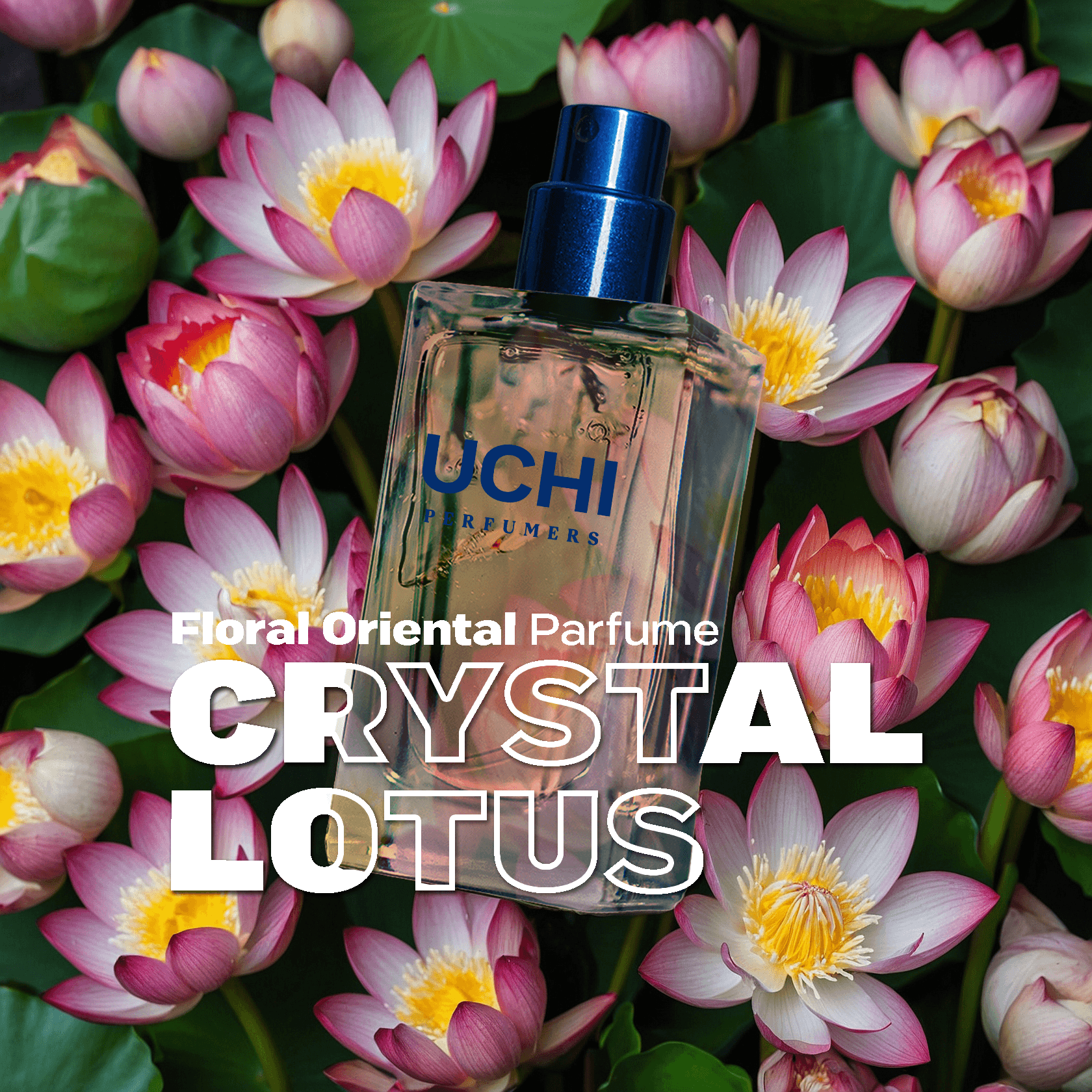 crystal-lotus