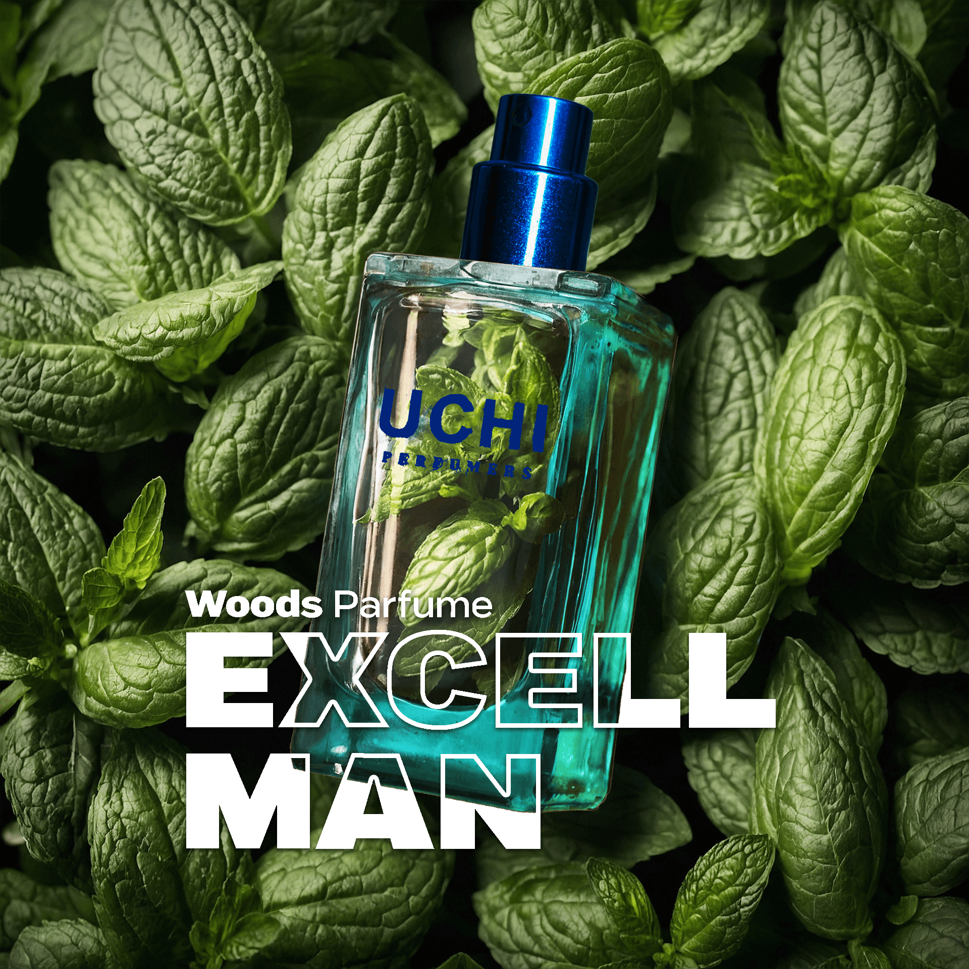 excell-man