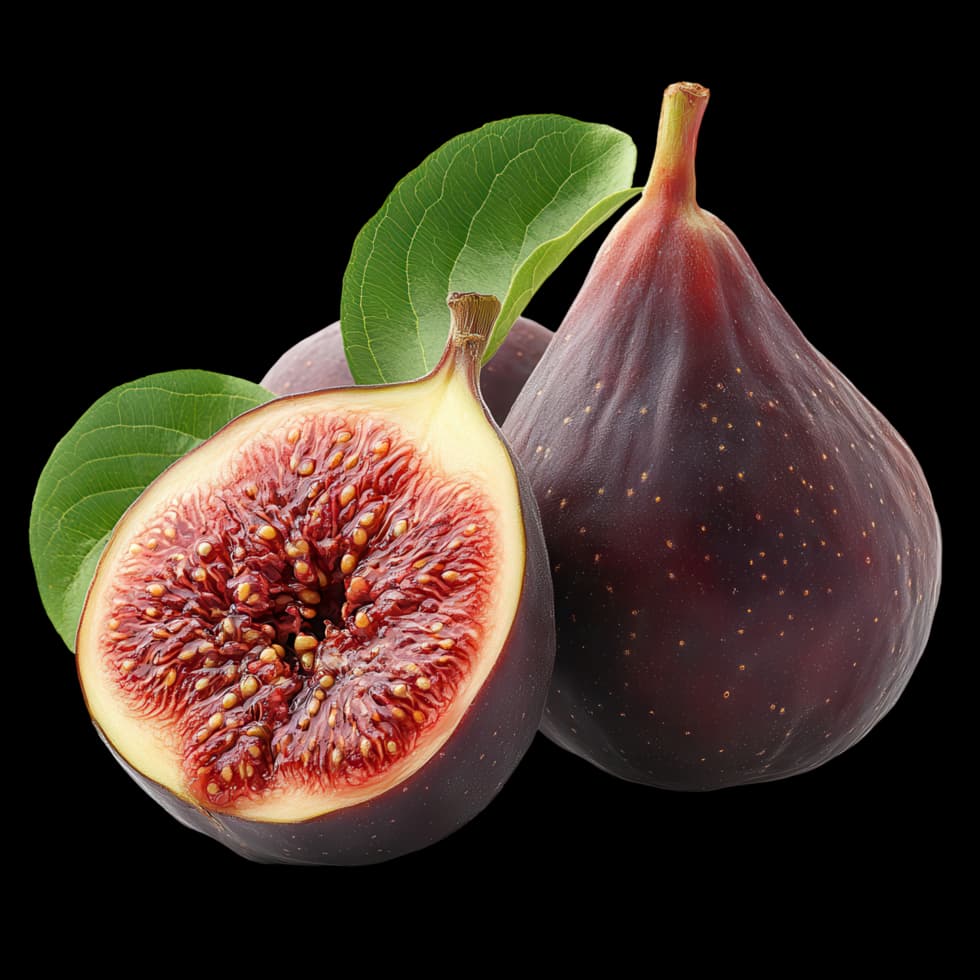 Fig