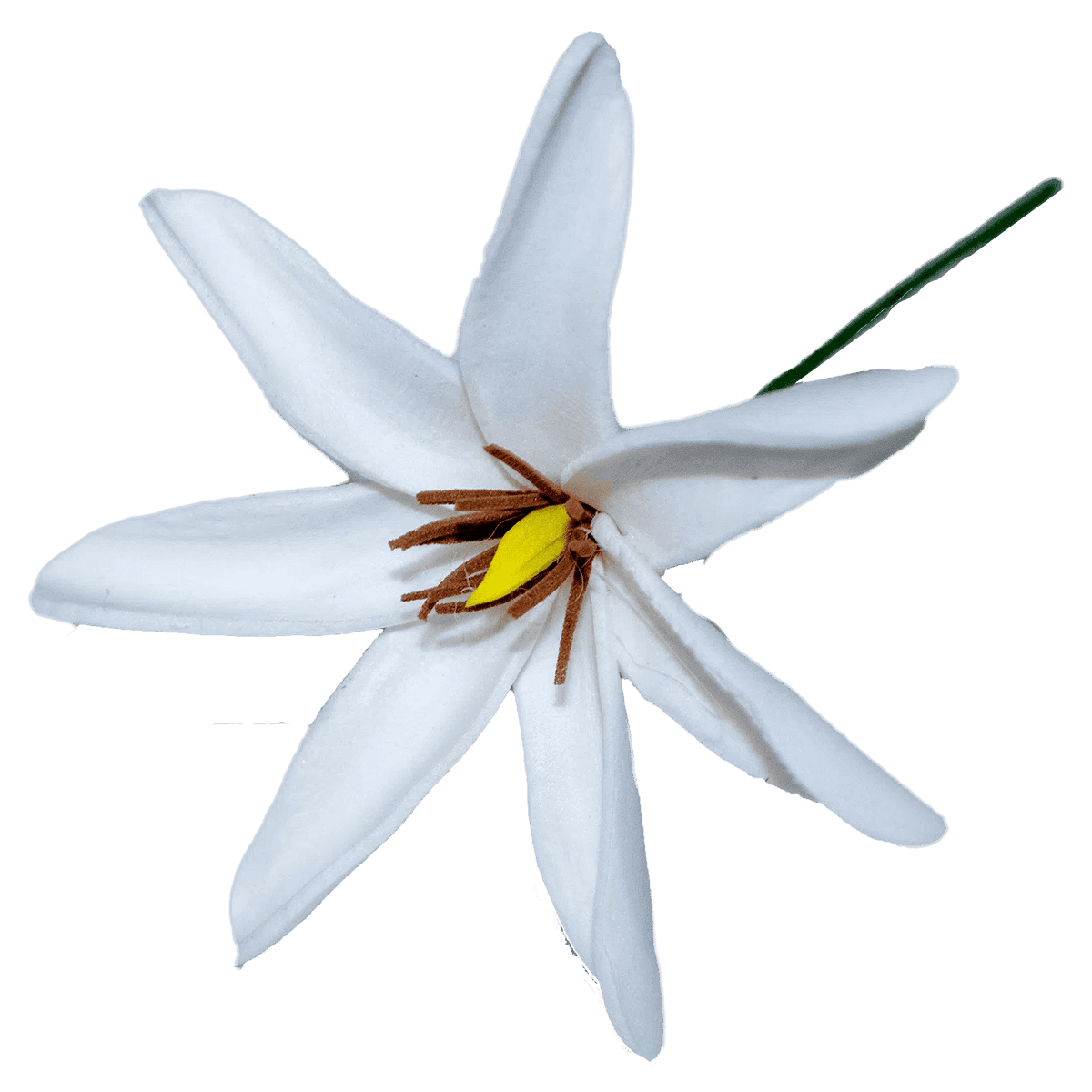 Tiare Flower