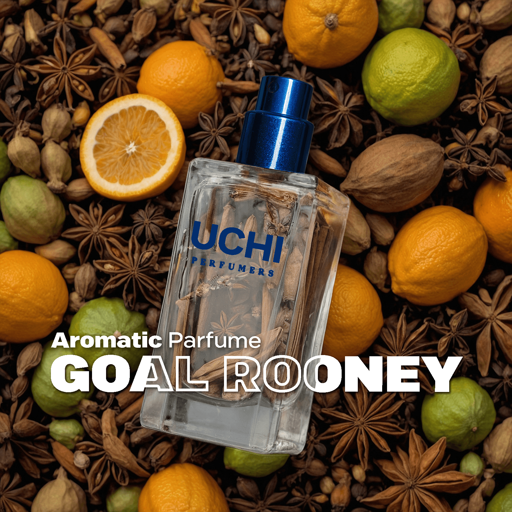 goal-rooney