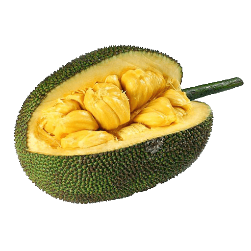 Jackfruit
