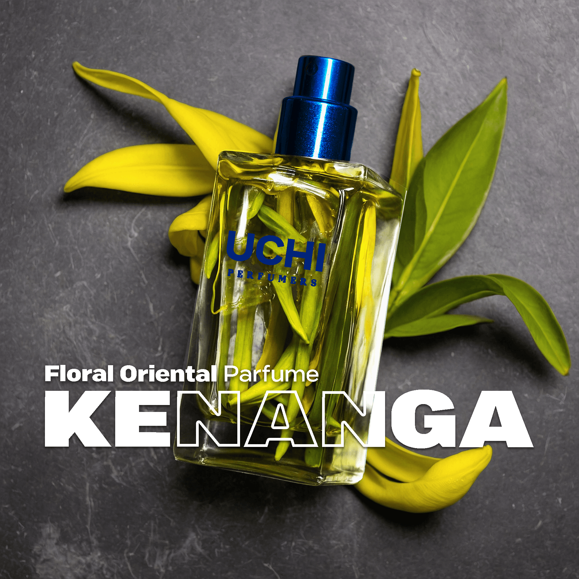 kenanga