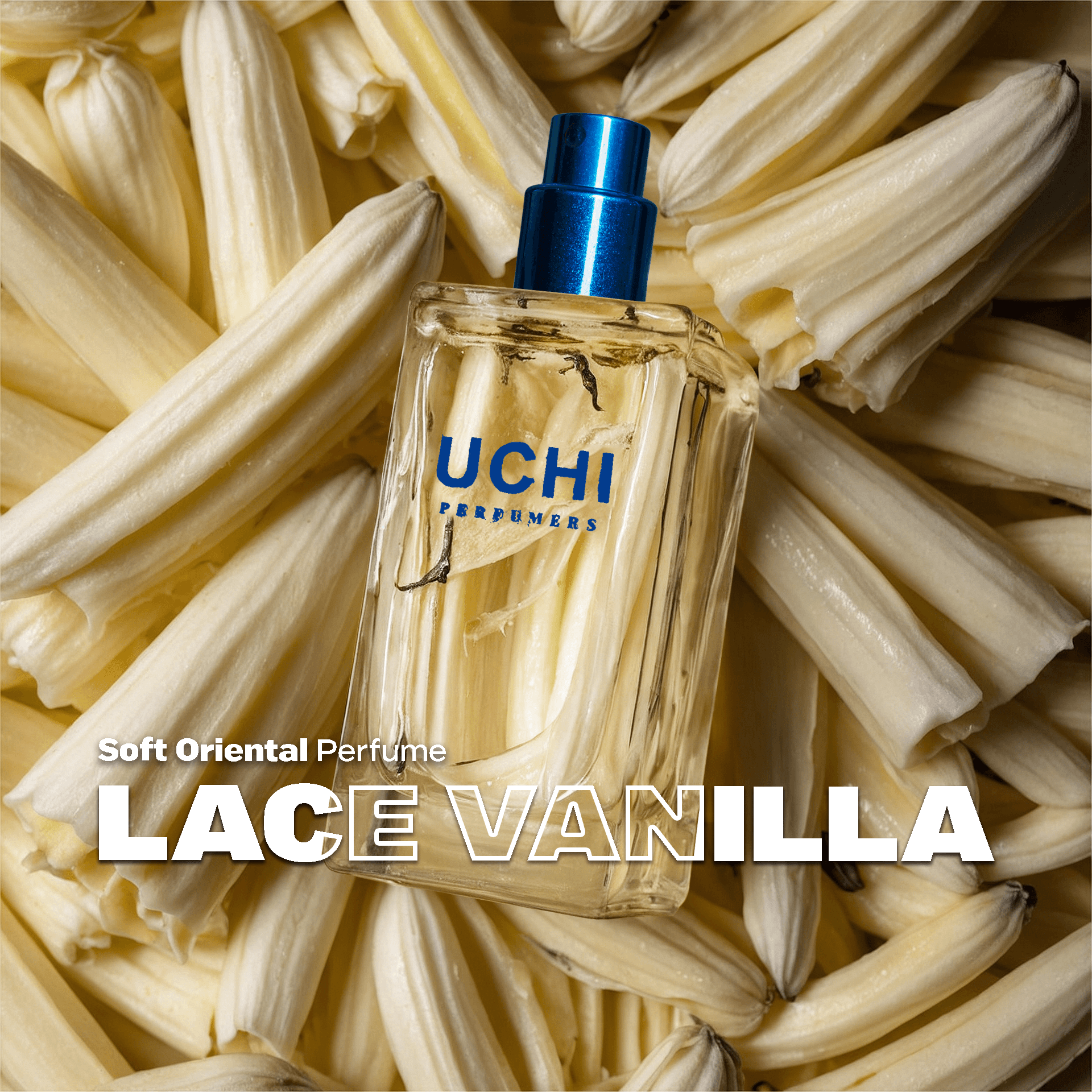 lace-vanilla