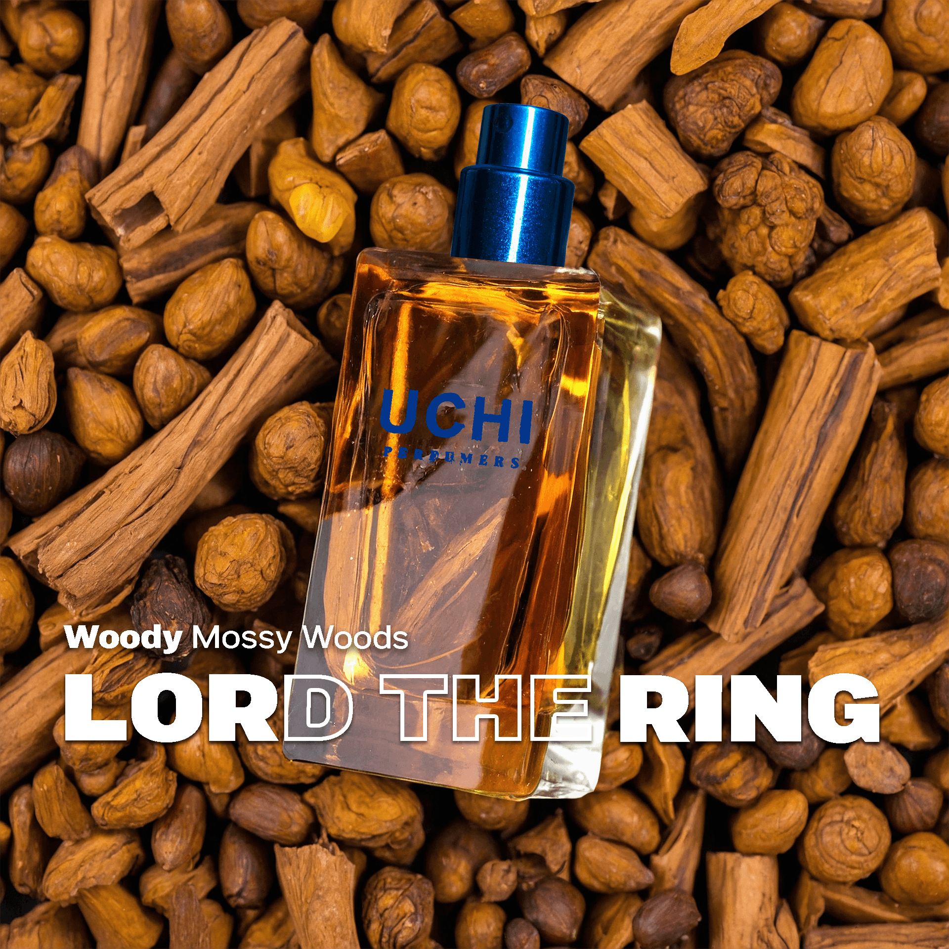 lord-the-ring