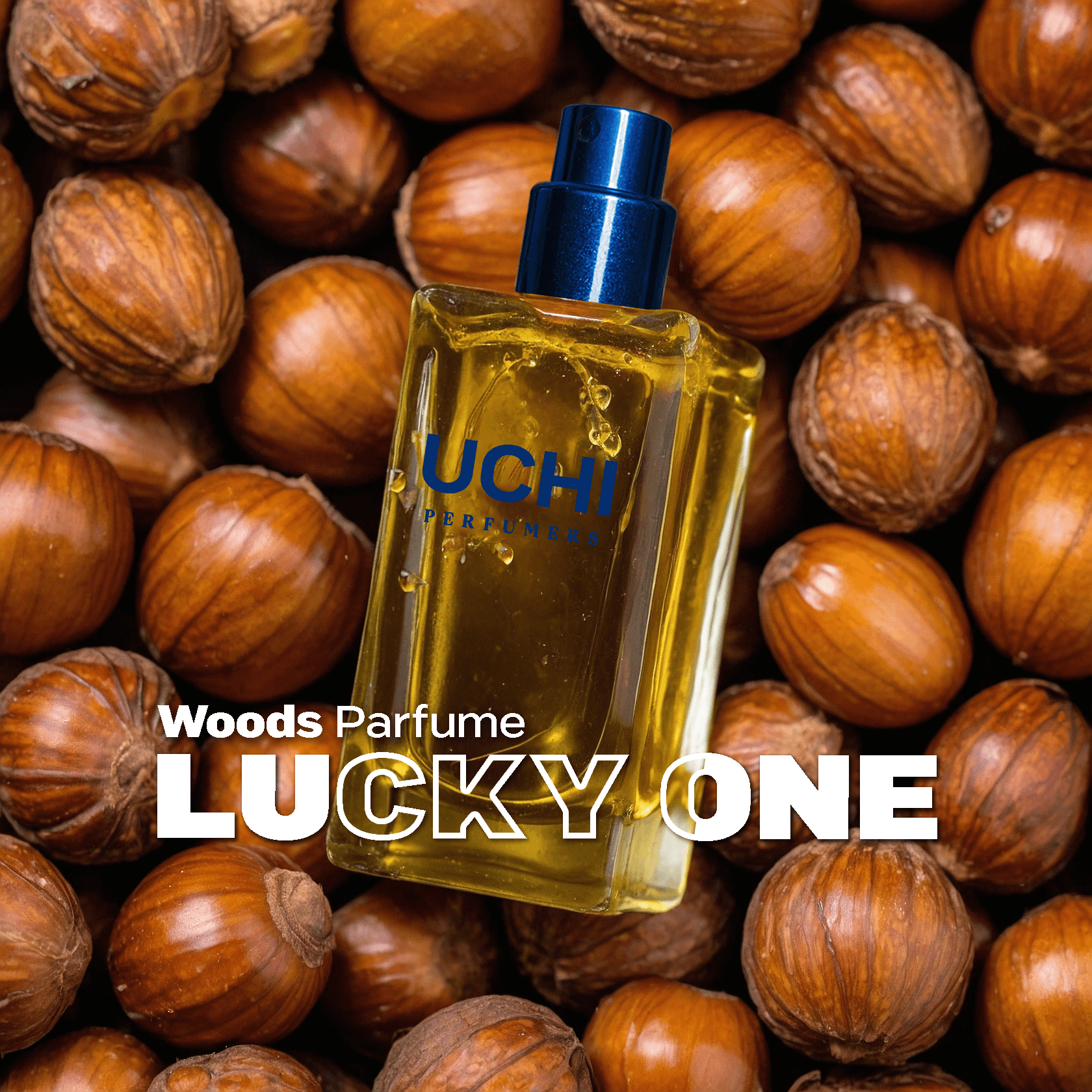 lucky-one