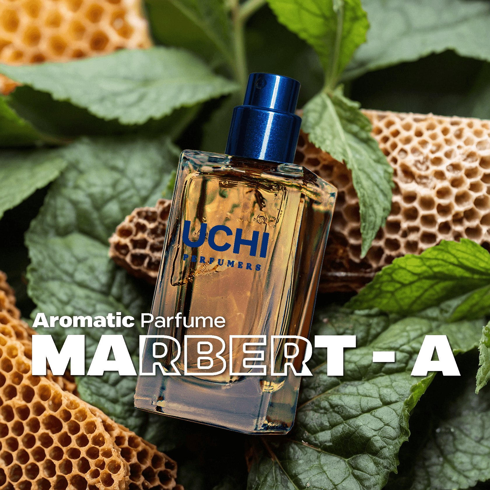marbert-a