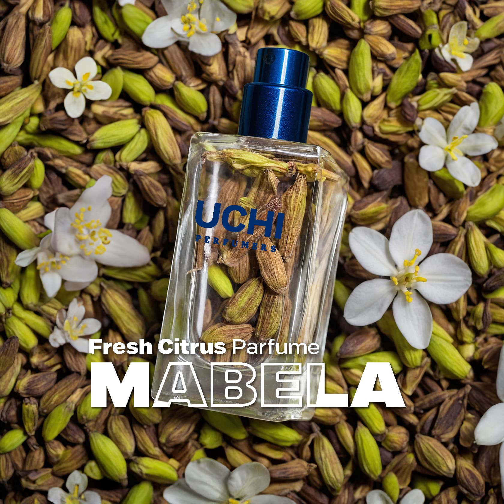 mabela