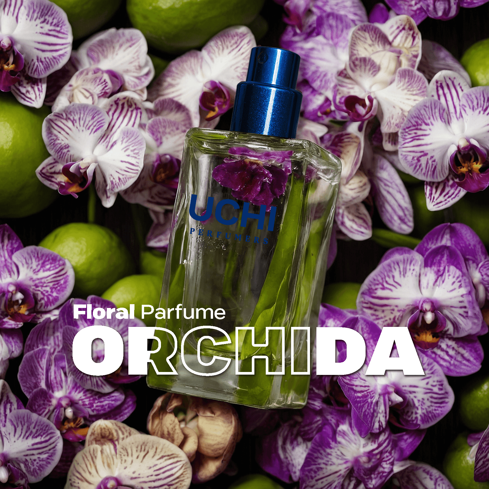 orchida