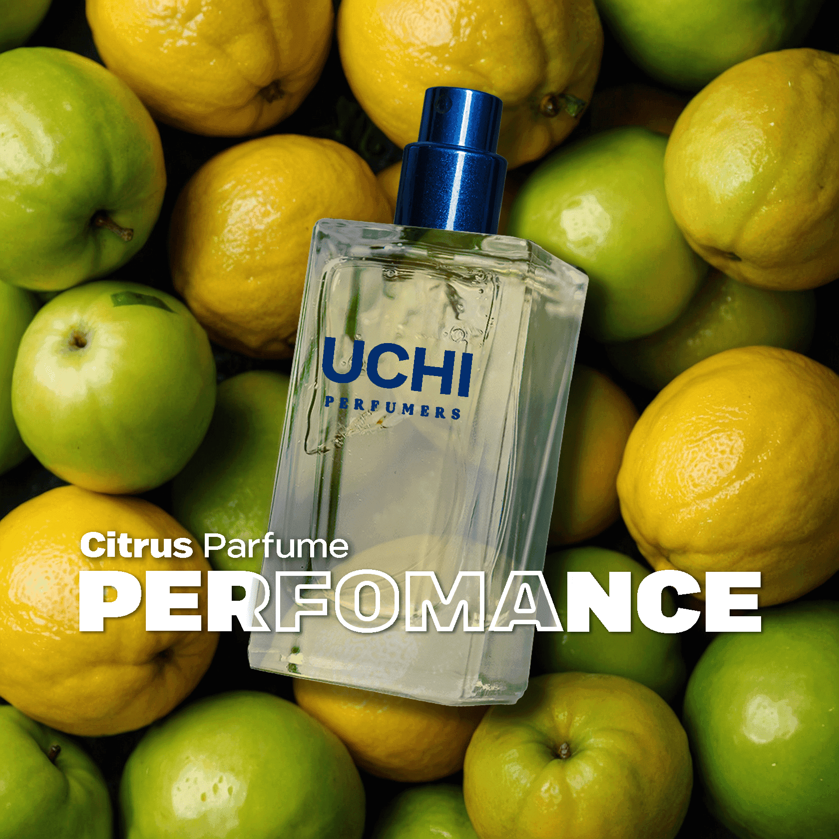 performance