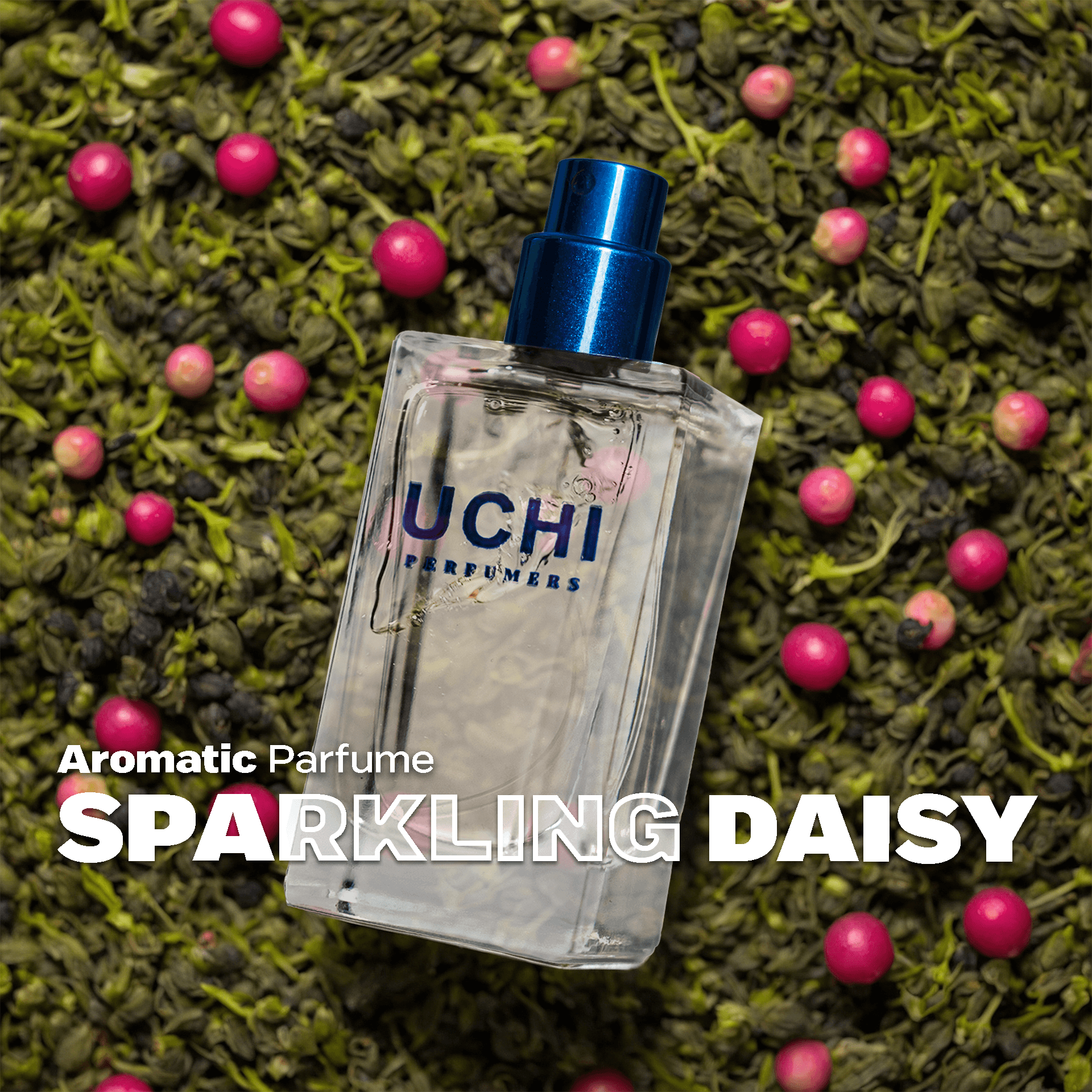sparkling-daisy
