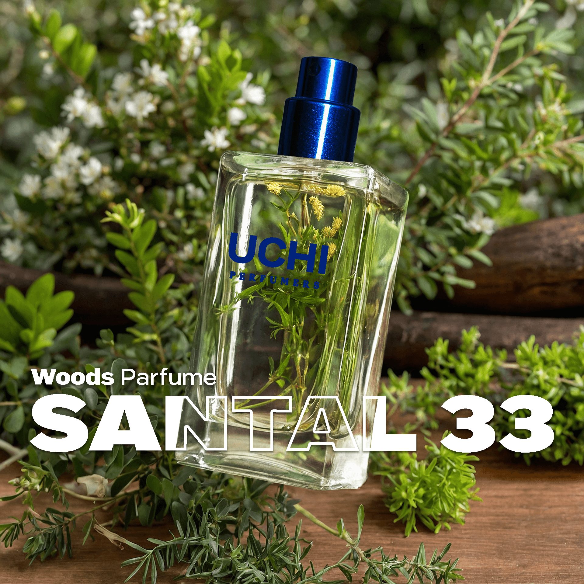 santal-33