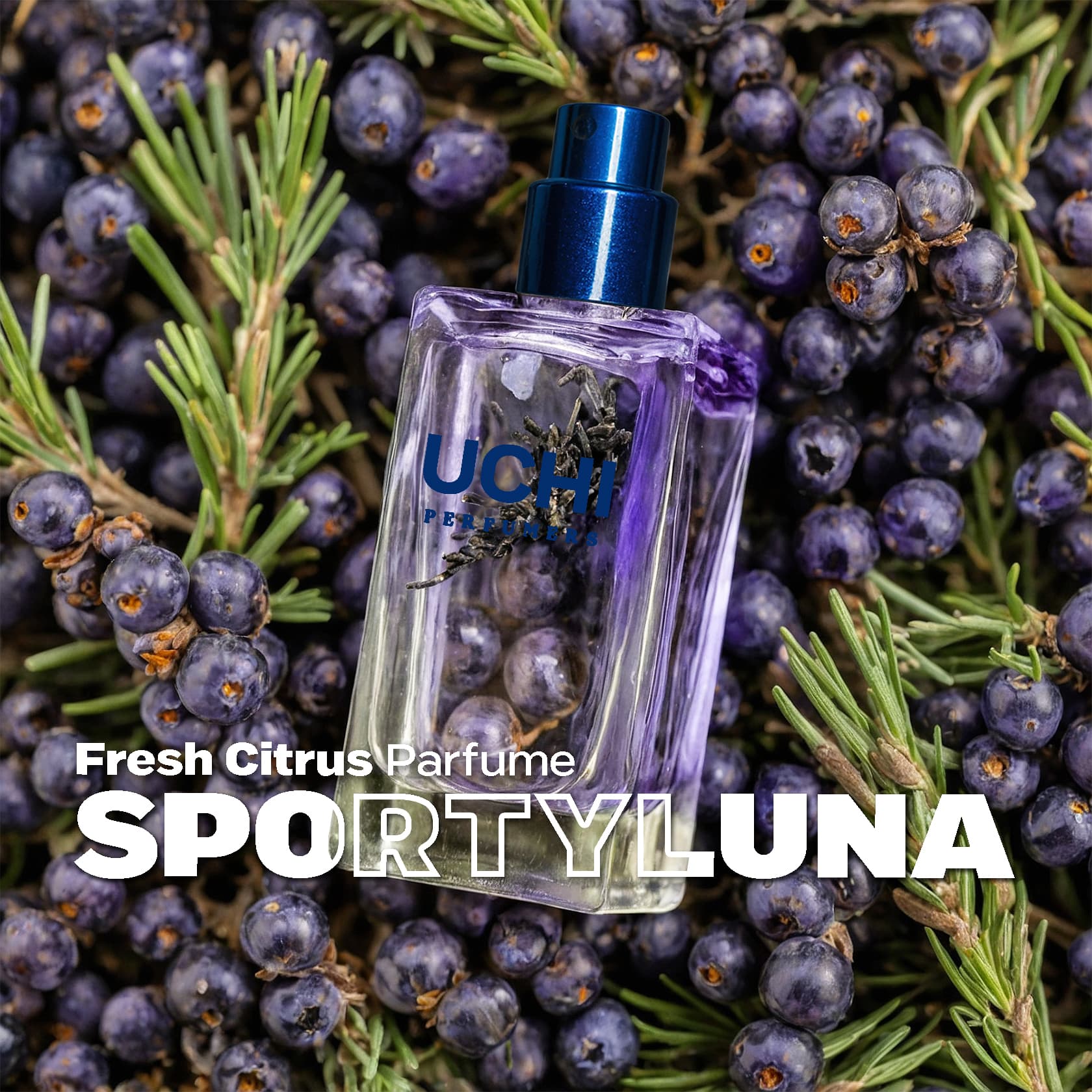 sportyluna