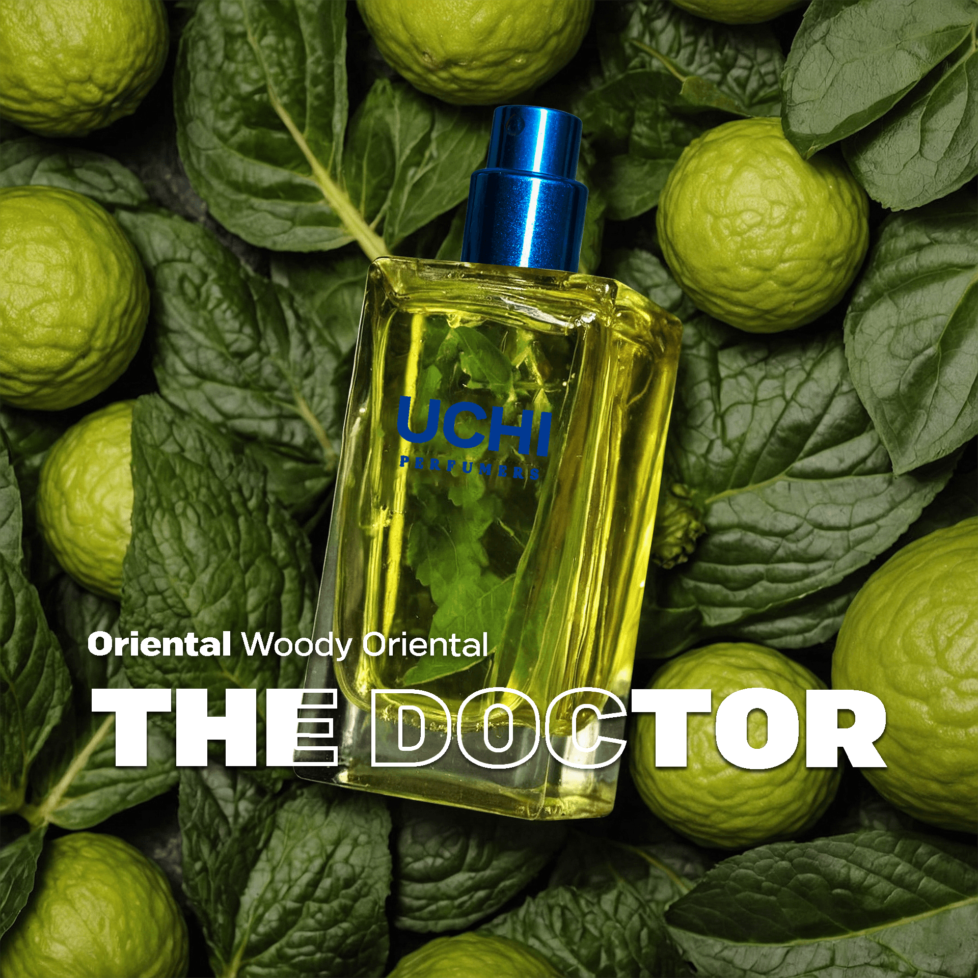 the-doctor