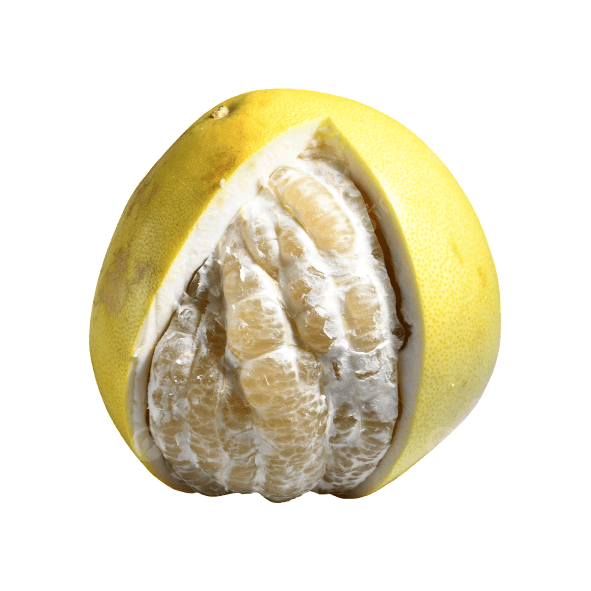 White Grapefruit