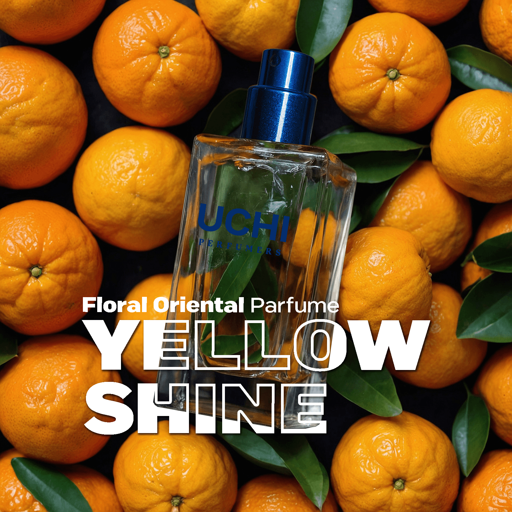 yellow-shine