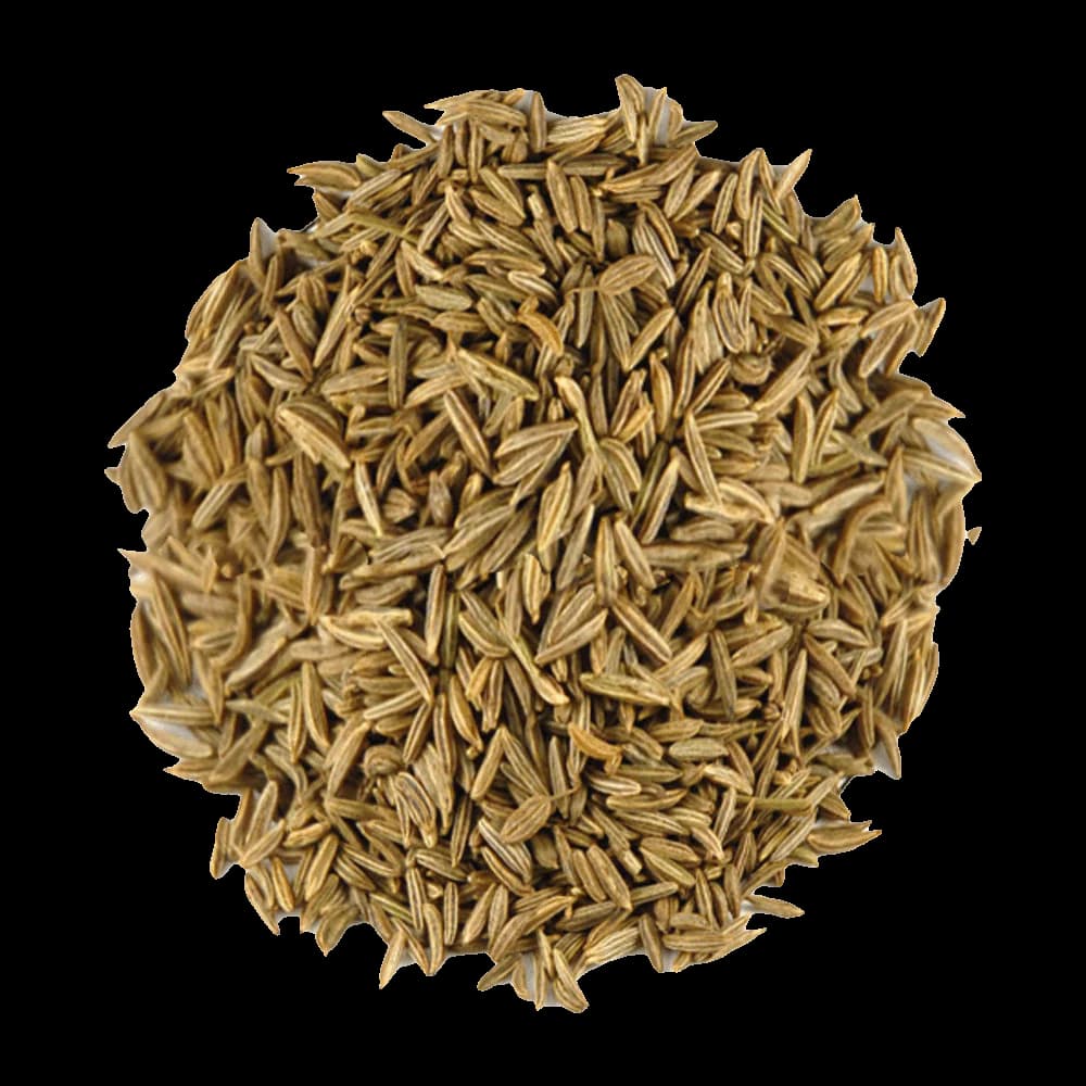 Caraway