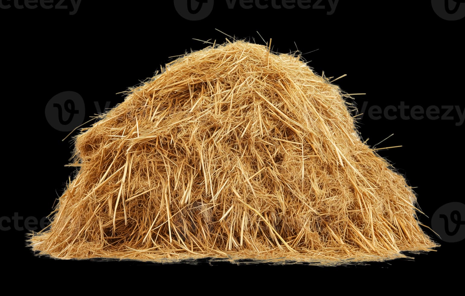 Hay