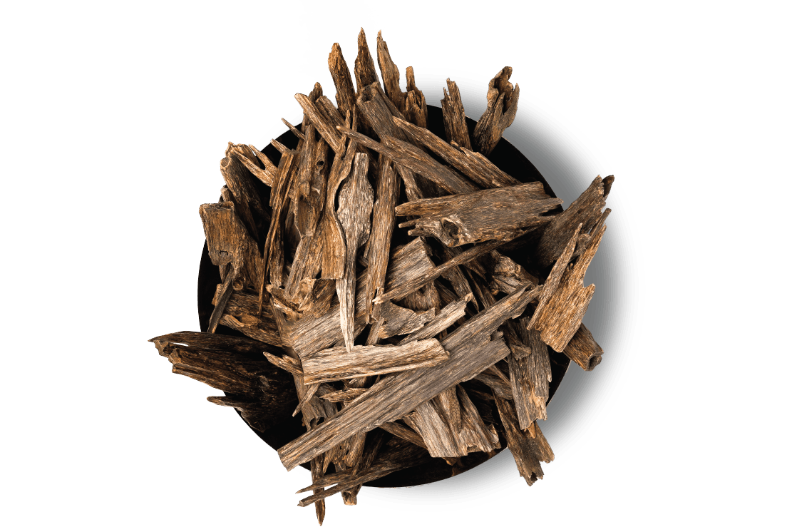 Laotian Oud