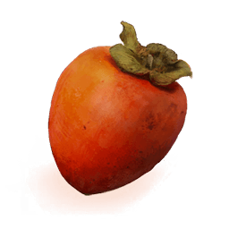 Persimmon