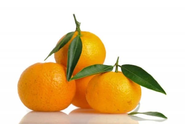 Sicilian Mandarin