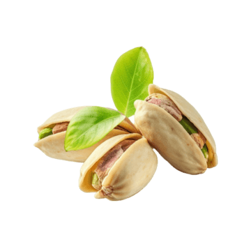 Pistachio