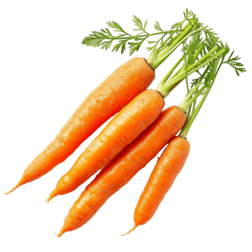 Carrot