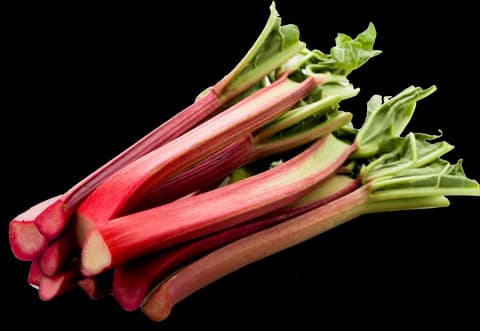 Rhubarb