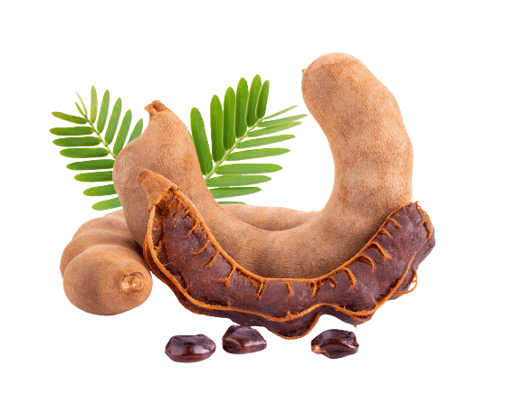 Tamarind