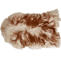 Animal Notes