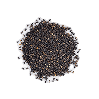 Celery Seeds