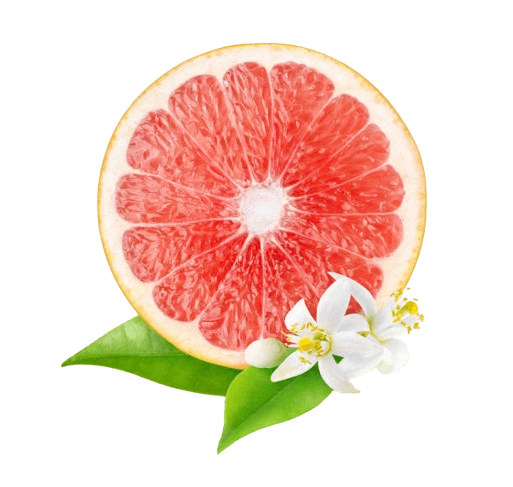 Grapefruit Blossom