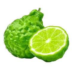 Bergamot