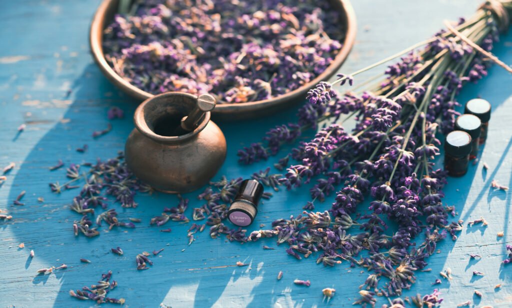 Lavender sebagai salah satu bahan ekstraksi aromaterapi