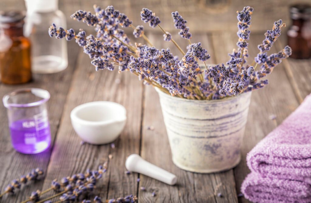 Ekstraksi bunga lavender 