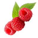 raspberry