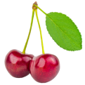 sour-cherry