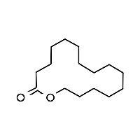 Fresh - Aromatic