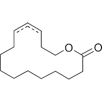 Fresh - Aromatic