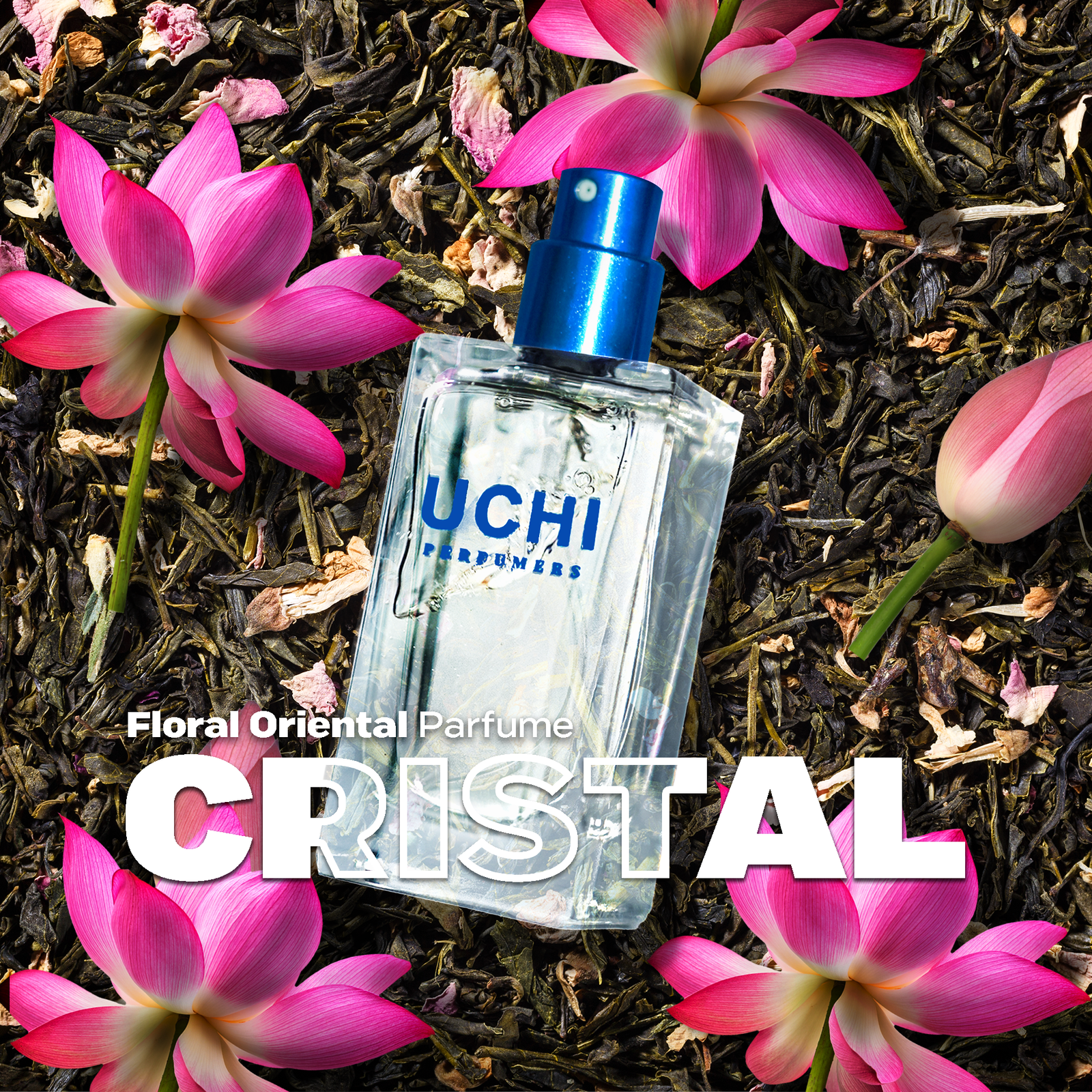 BG. Cristal : Floral - Floral Oriental